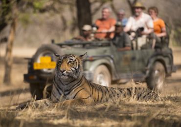 Ranthambore