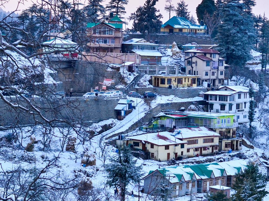 Shimla